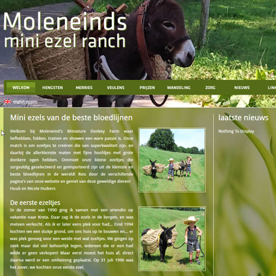 Moleneinds-miniezel-ranch.jpg